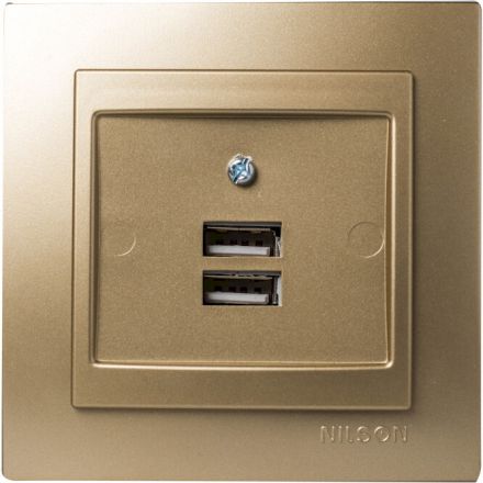 GEYER Πρίζα USB Διπλή Σατινέ NILSON