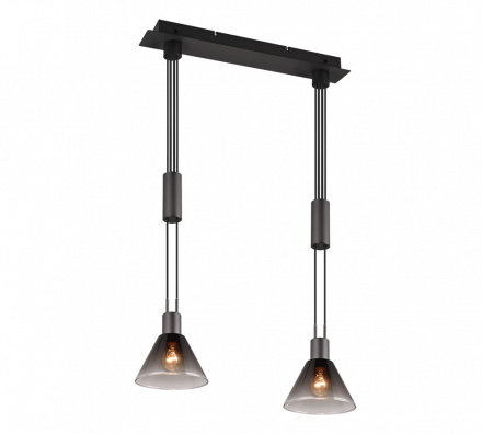 Trio Lighting Κρεμαστό Φωτιστικό STANLEY LED 2xE27 Μέταλλο Μαύρο/Smoke