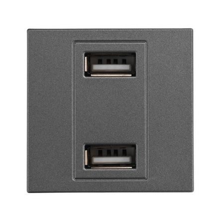 Πρίζα 2 Χ USB Modules Γραφίτης Leon