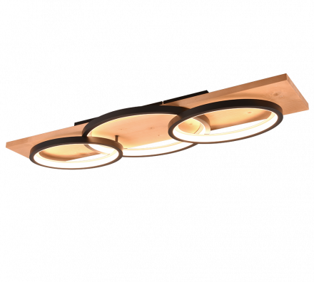 Trio Lighting Φωτιστικό Οροφής BARCA LED 40W Μέταλλο Μαύρο