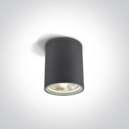 One Light Φωτιστικό Οροφής Κύλινδρος LED E27 PAR30 Die Cast Ανθρακί IP54
