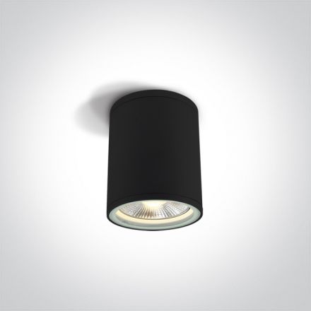 One Light Φωτιστικό Οροφής Κύλινδρος LED E27 PAR30 Die Cast Μαύρο IP54