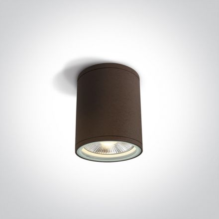 One Light Φωτιστικό Οροφής Κύλινδρος LED E27 PAR30 Die Cast Καφέ Σκουριά IP54