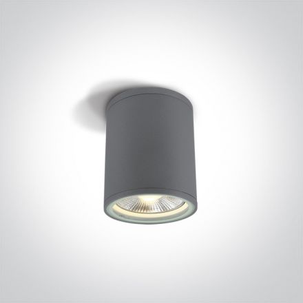 One Light Φωτιστικό Οροφής Κύλινδρος LED E27 PAR30 Die Cast Γκρι IP54