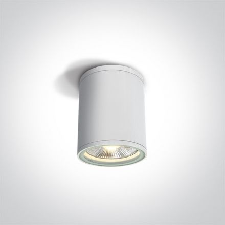 One Light Φωτιστικό Οροφής Κύλινδρος LED E27 PAR30 Die Cast Λευκό IP54