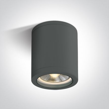 One Light Φωτιστικό Οροφής Κύλινδρος LED E27 PAR30 ABS/PC Ανθρακί IP65