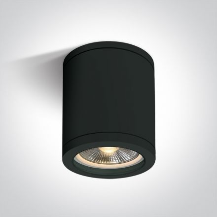 One Light Φωτιστικό Οροφής Κύλινδρος LED E27 PAR30 ABS/PC Μαύρο IP65