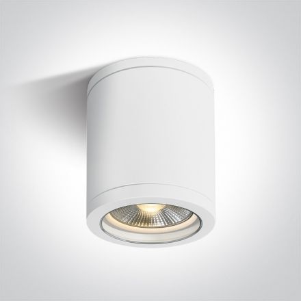 One Light Φωτιστικό Οροφής Κύλινδρος LED E27 PAR30 ABS/PC Λευκό IP65