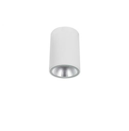 Σποτ Οροφής LED 10W 3000K Λευκό Dermot IP65 Αλουμίνιο-Γυαλί