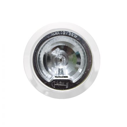 ACA Χωνευτό Στρογγυλό Σποτ G4 Ατσάλι 12V max. 20W Χωρίς Γυαλί