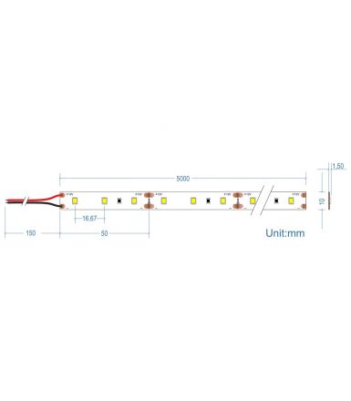 Tαινία LED ΤΩΡΑ 12W/m 12V IP20 5m - 6000K