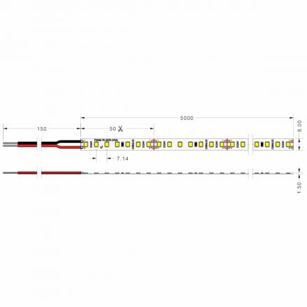 Ταινία LED Emphasis 4.8W /m 24V IP20 5m 6500K 