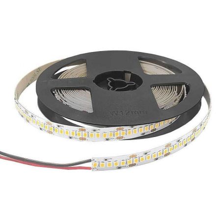 Cubalux Ταινία LED ΤΩΡΑ 9.6W/m 240 LED/m 24V IP20 5m 3000K
