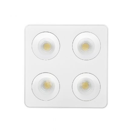 Inlight Επίτοιχο Spot LED 4x8W 3CCT Λευκό