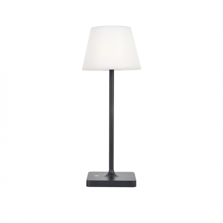ACA Επιτραπέζιο Φωτιστικό Μπαταρίας LED 2W 170Lm 3000K Σκούρο Γκρι 360° IP54