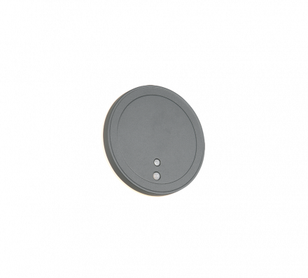 Trio Lighting Επίτοιχο Φωτιστικό LED 2W 3000K Motion/Dusk Sensor FORTALEZA Ανθρακί