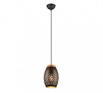 Trio Lighting Κρεμαστό Φωτιστικό BIDAR LED 1xE27 Μέταλλο Μαύρο-Χρυσό