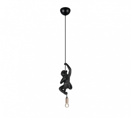 Trio Lighting Κρεμαστό Φωτιστικό 1xE14 FIPS Μαύρο Polyresin