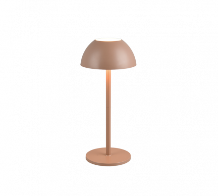 Trio Lighting Επιτραπέζιο Φωτιστικό LED 1.7W 3000K RICARDO Coffee Πλαστικό IP54