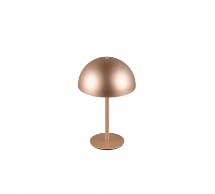 Trio Lighting Επαναφορτιζόμενο Επιτραπέζιο Φωτιστικό LED 1.3W 3000Κ MUNOZ Coffee