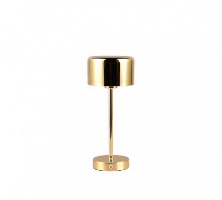 Trio Lighting Επιτραπέζιο Φωτιστικό LED 1,5W JEFF Brass