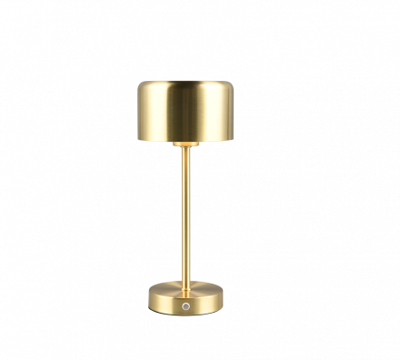 Trio Lighting Επιτραπέζιο Φωτιστικό LED 1,5W JEFF Brass Mat