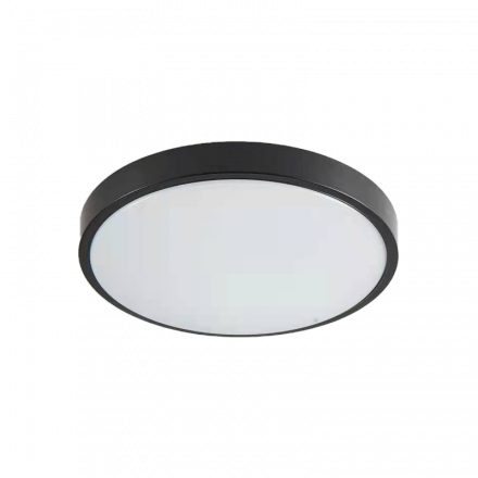 InLight Torch LED 18W 3CCT Outdoor Ceiling Light Anthracite D:28cmx5,3cm (80300340)