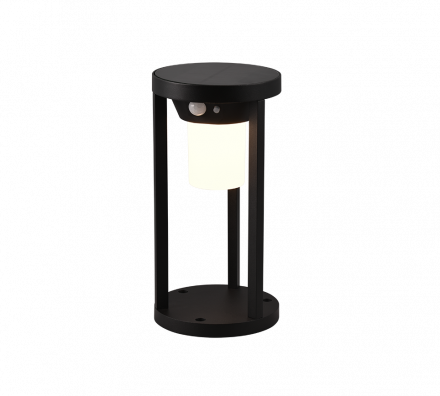 Trio Lighting Ηλιακό Φωτιστικό LED 2W CARMO Αλουμίνιο Μαύρο IP54 25cm