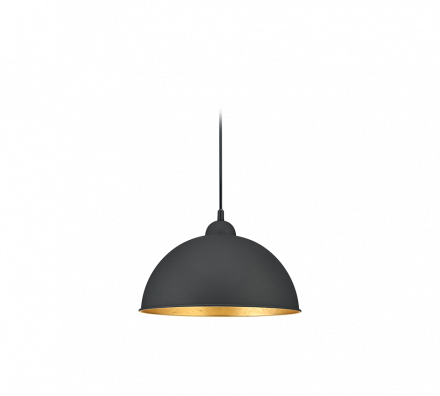 Trio Lighting Κρεμαστό Φωτιστικό Ράγας LED 1xE27 DUOLINE