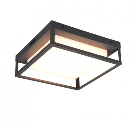 Trio Lighting Πλαφονιέρα WITHAM LED 14W IP54