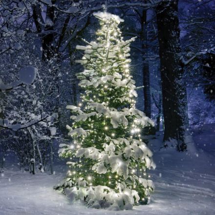 350 LED Χταπόδι 10 Σειρές x 35 Λαμπάκια Θερμό Λευκό Ανταπτ. 31V DC IP44