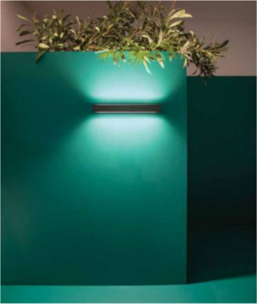 Zambelis Lights Επίτοιχη Απλίκα LED 30W Γραφίτη IP65 E263